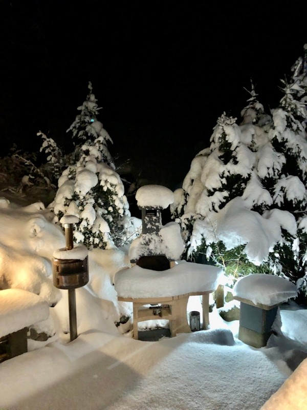 location chalet vosges