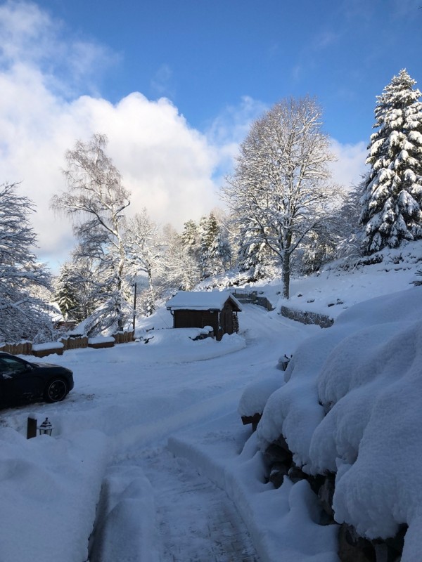 location chalet vosges