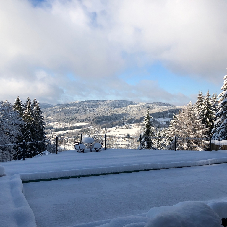 location chalet vosges