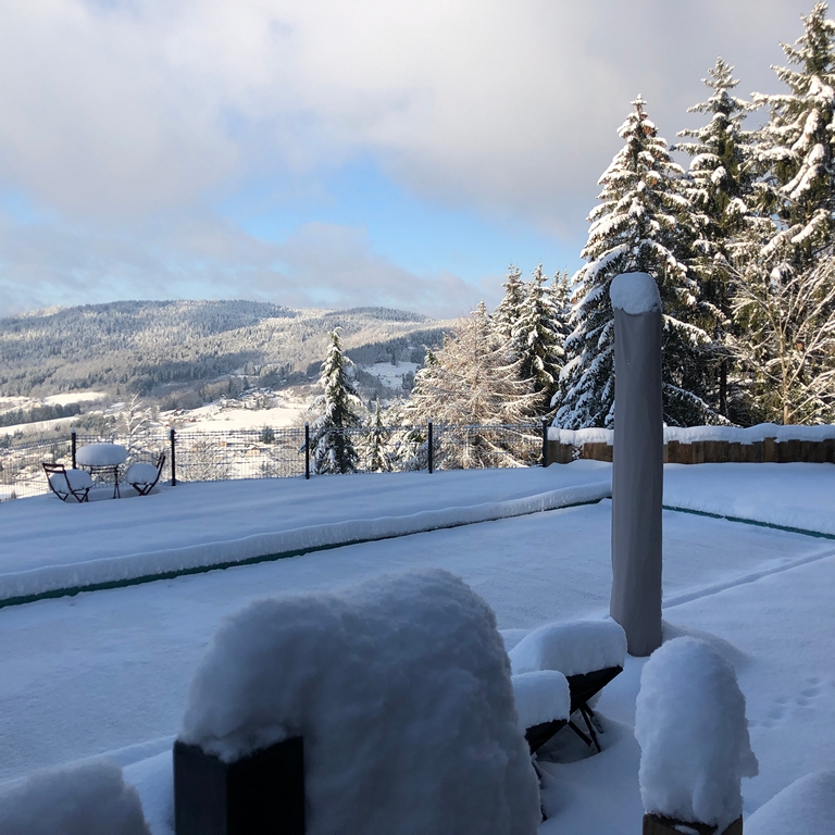 location chalet vosges