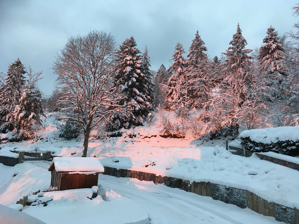 location chalet vosges