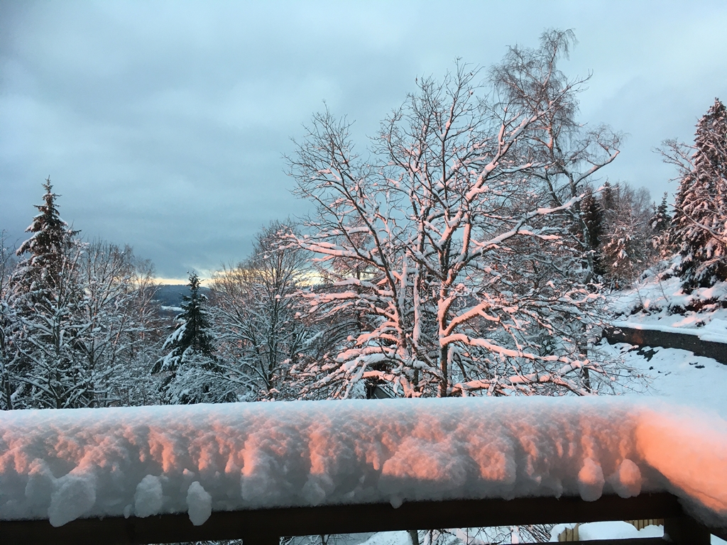 location chalet vosges