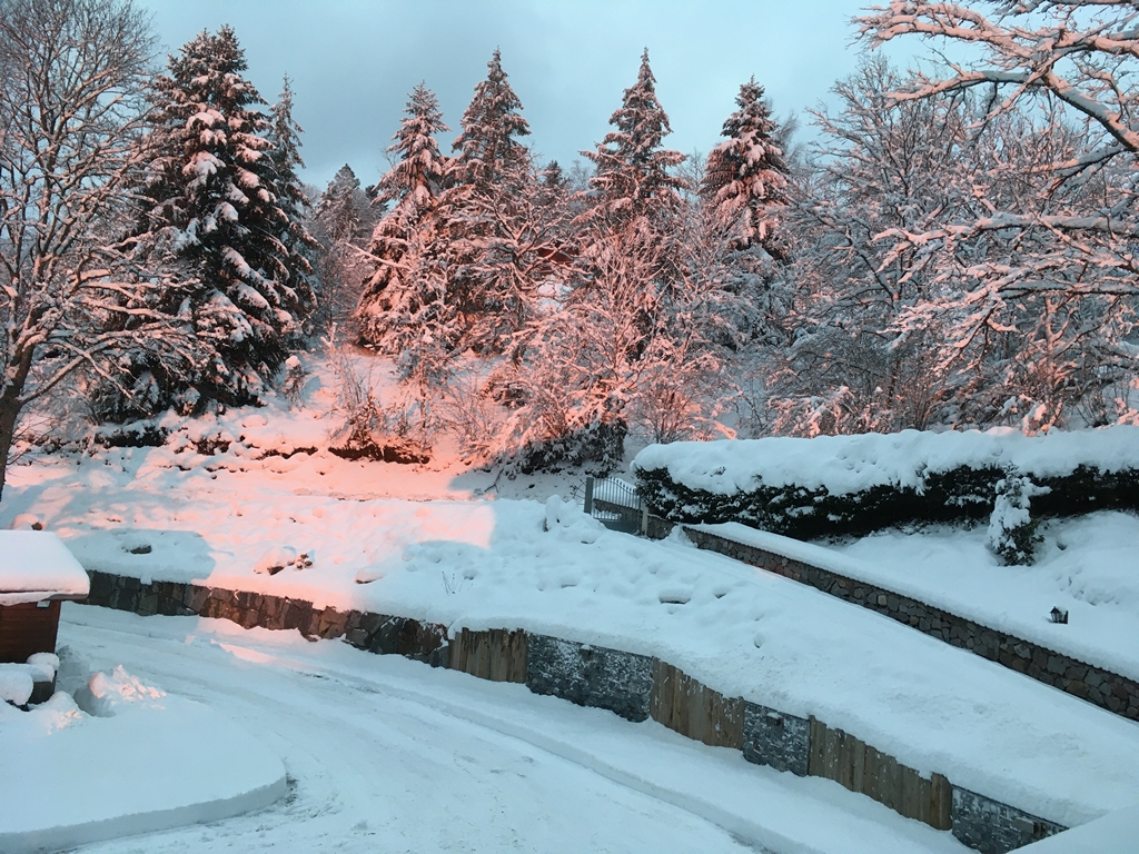 location chalet vosges