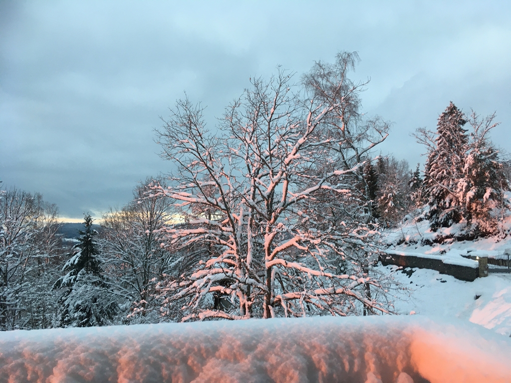 location chalet vosges