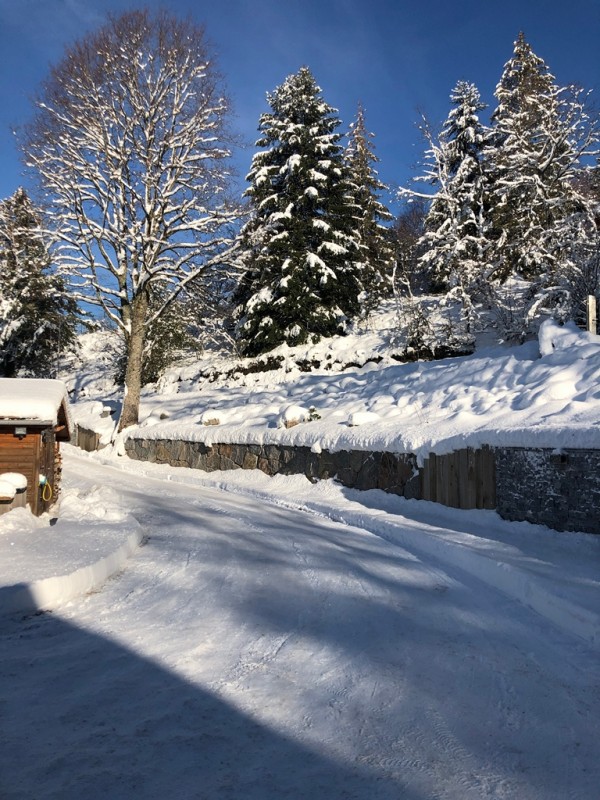 location chalet 12 personnes