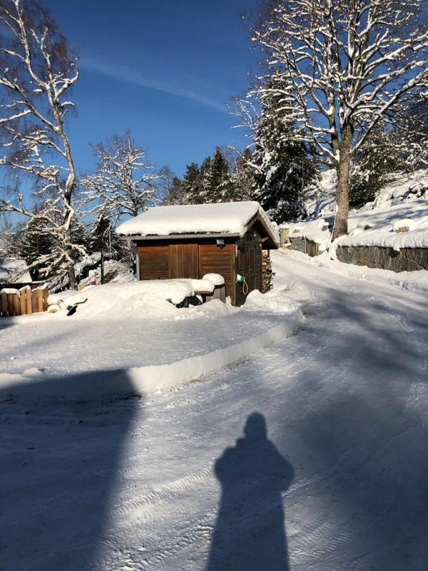 Chalet vosges prestige